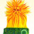 Solar