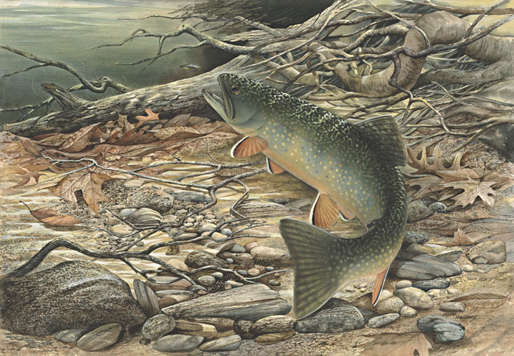 Fish Painting