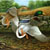 Wood Ducks Flight