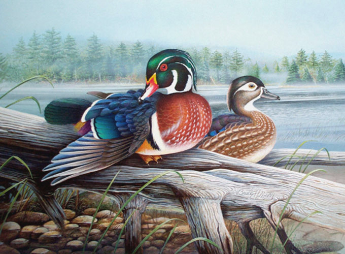 Wild Ducks Painting